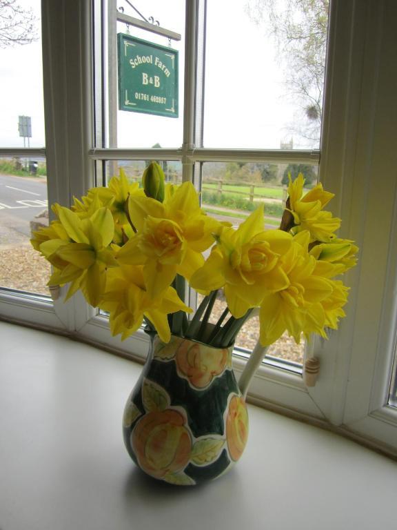 School Farm Bed & Breakfast Blagdon Bagian luar foto
