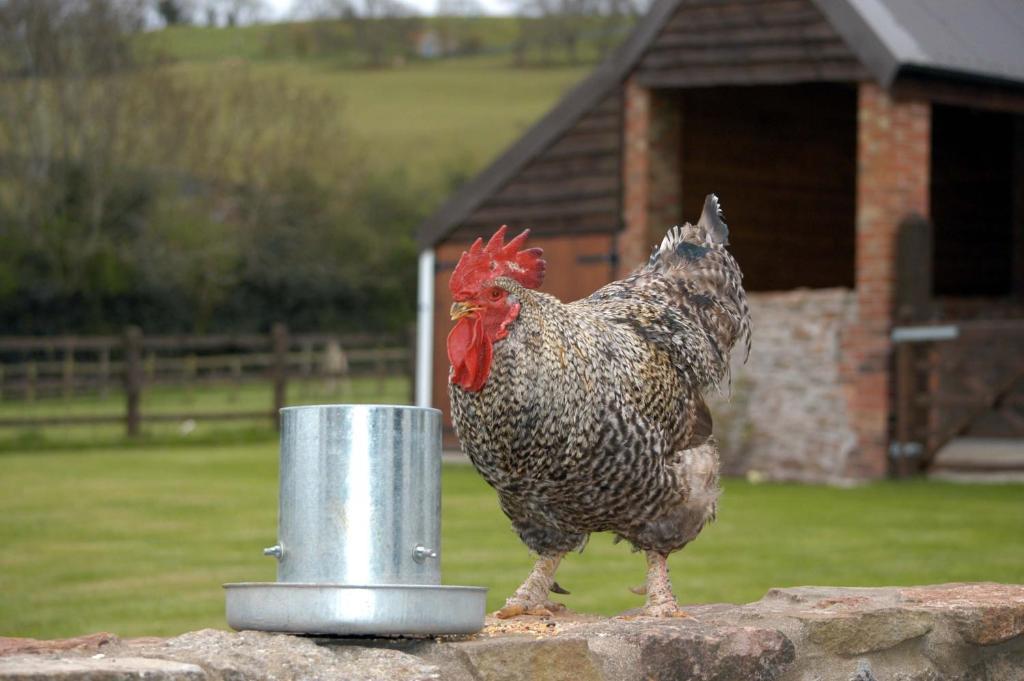 School Farm Bed & Breakfast Blagdon Ruang foto
