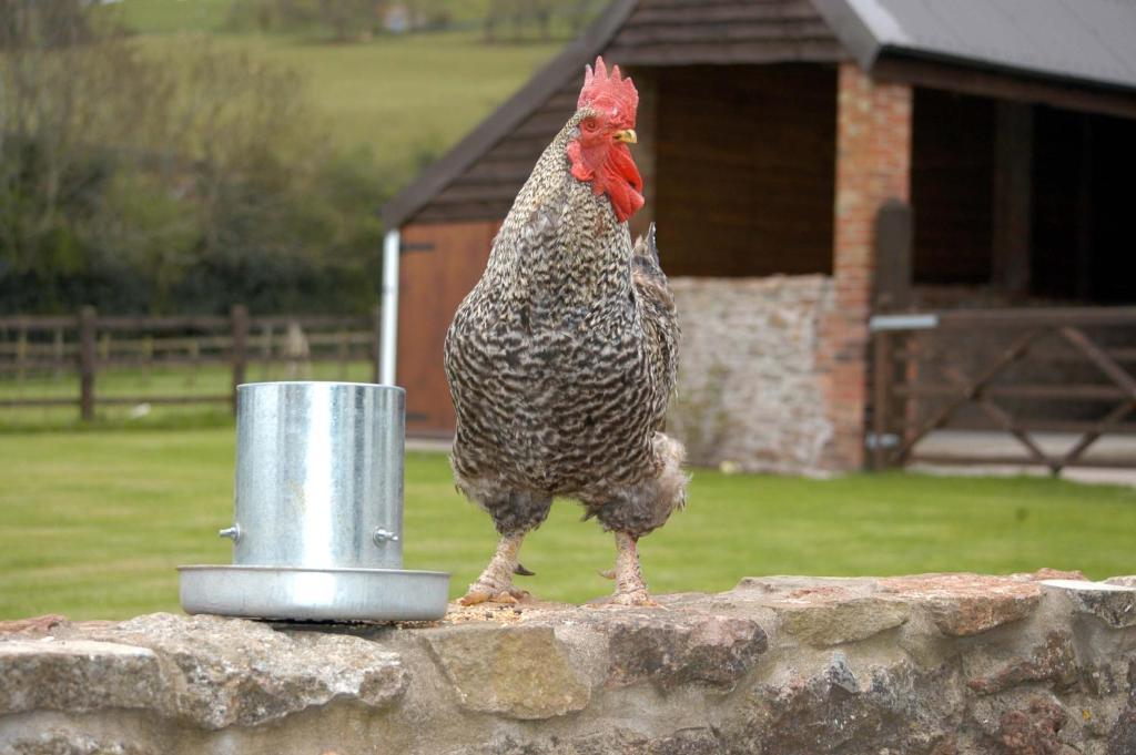 School Farm Bed & Breakfast Blagdon Bagian luar foto
