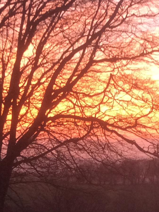 School Farm Bed & Breakfast Blagdon Bagian luar foto