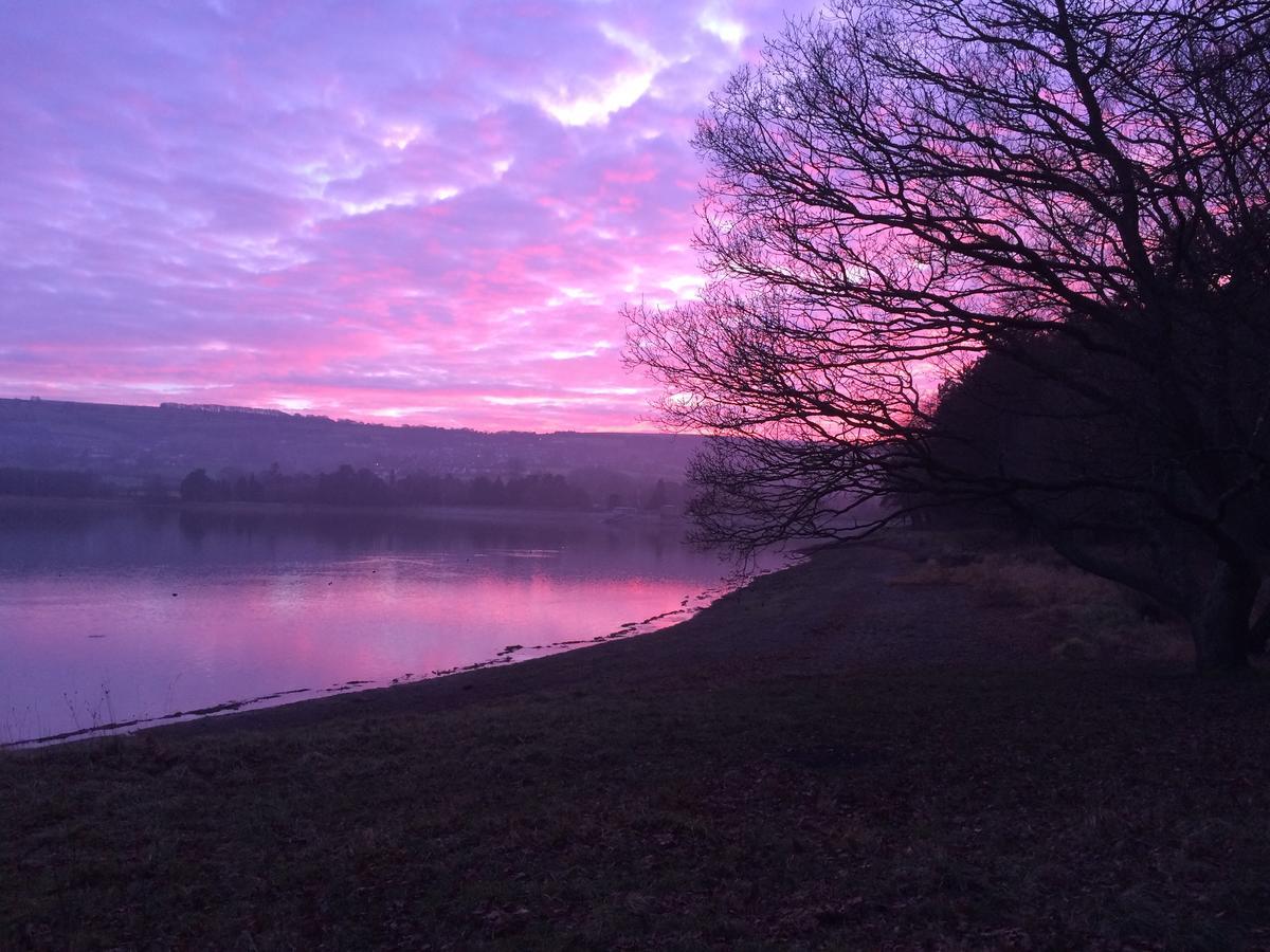 School Farm Bed & Breakfast Blagdon Bagian luar foto