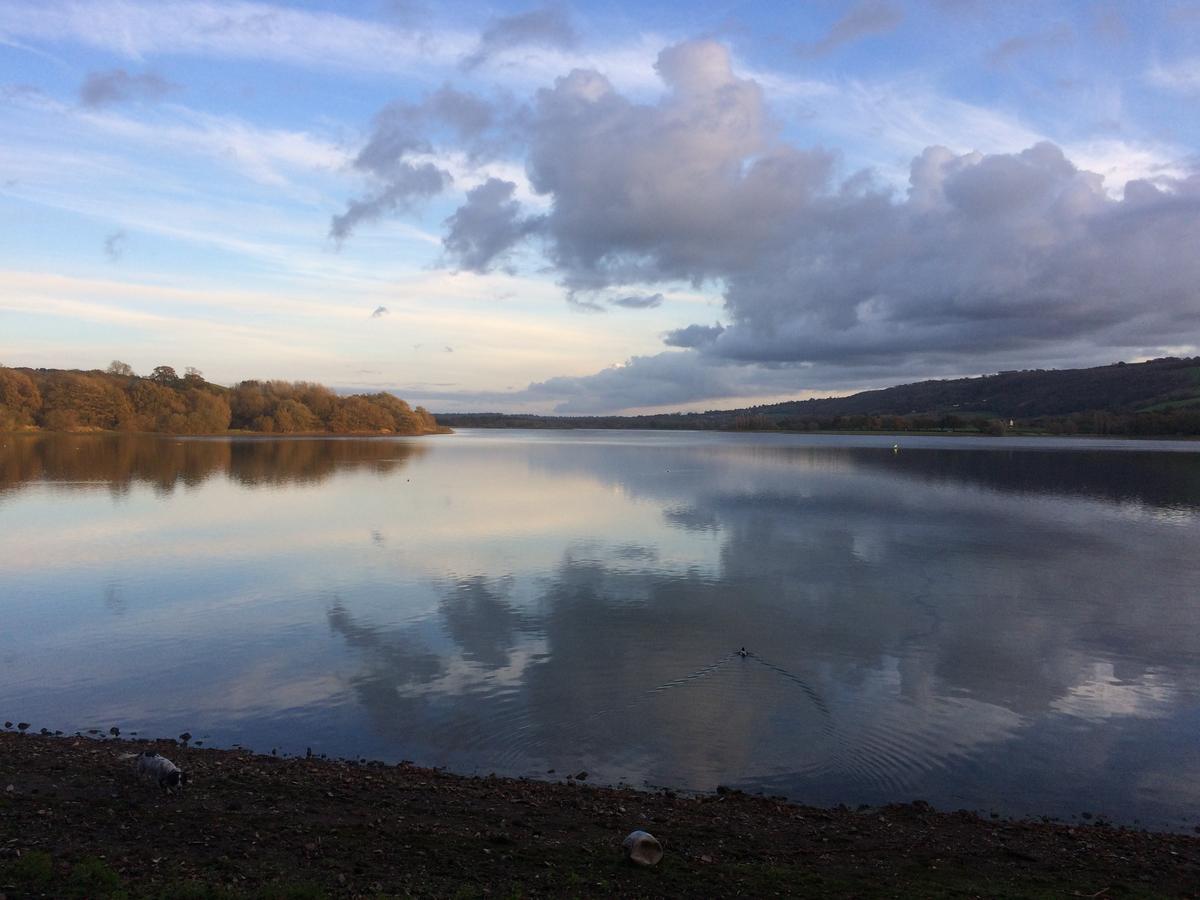 School Farm Bed & Breakfast Blagdon Bagian luar foto