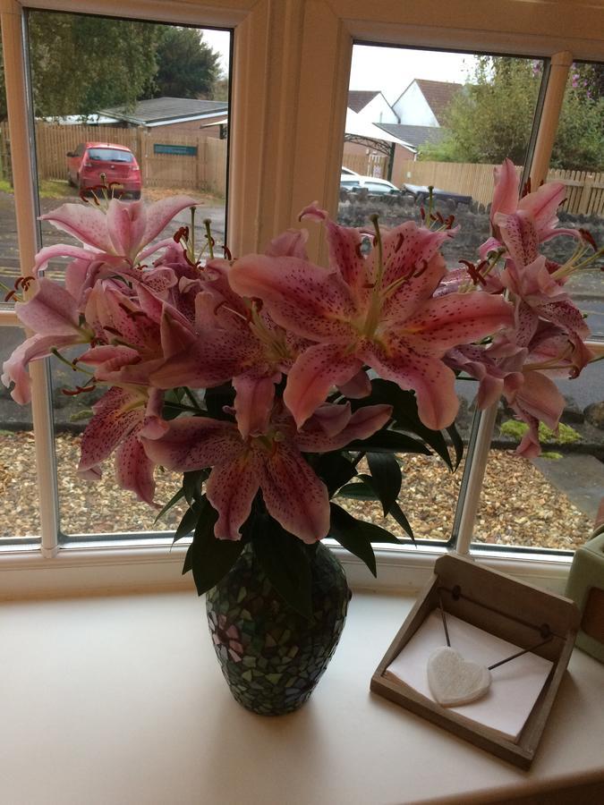 School Farm Bed & Breakfast Blagdon Bagian luar foto